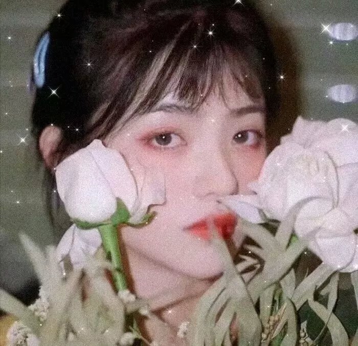 她来了 第二季